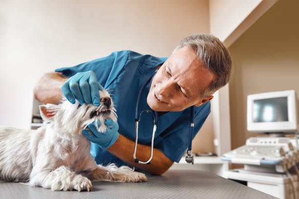 Best After-Hours Emergency Dentist in Crump, TN